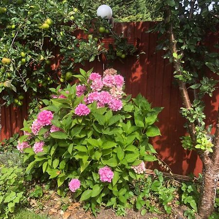 Appartamento Eltham Flat Londra Esterno foto